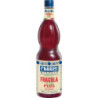 Mixybar PLUS Fraise Fabbri