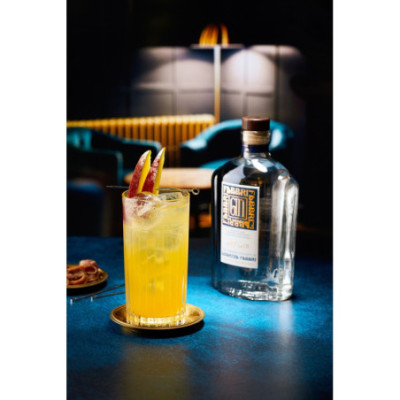 Kit Gin Tonic Fabbri – Gin amarena & sirops Mixybar Plus
