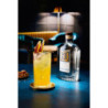 Kit Gin Tonic Fabbri – Gin amarena & sirops Mixybar Plus