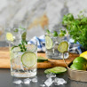 Verre à Cidre 500 ml Mixology – Grand Format Krosno x6