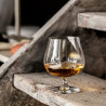 Verre à Cognac 480 ml Balance – Élégance sobre x6