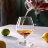Verre à Cognac 550 ml Harmony – Snifter classique x6