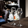 Verre à Liqueur 60 ml Splendour – Élégance tulipe x6