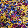Mauve fleurs séchées Extradry – Douceur florale pastel