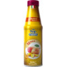Fabbri Topping glace mangue