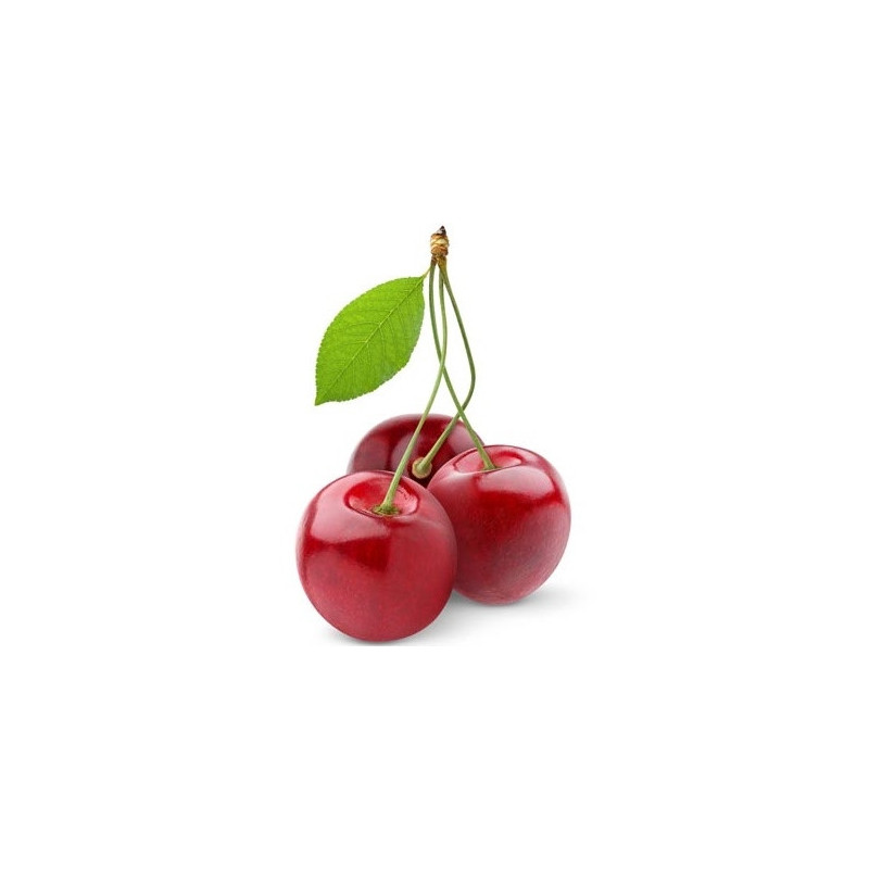 Concentré pour granité Cerise