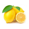 Concentré pour granité Citron