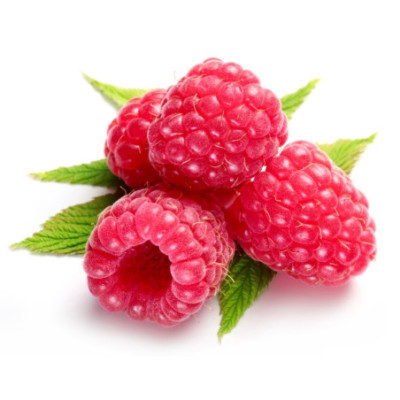 Concentré pour granité Framboise