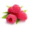 Concentré pour granité Framboise