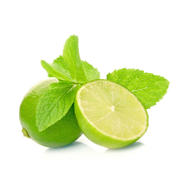 Concentré pour granité Mojito
