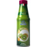 Fabbri Topping glace kiwi