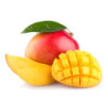 Concentré pour granité Mangue