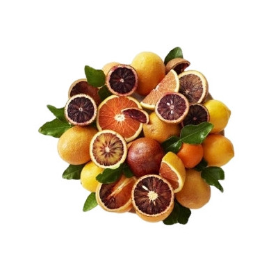 Concentré pour granité Fruits du soleil