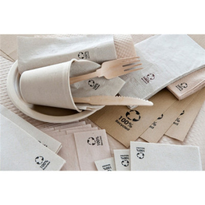 Serviettes ecolabel 10x10cm image