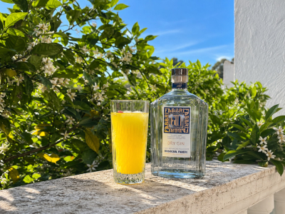 Gin Tonic Pêche : recette professionnelle au Dry Gin Fabbri