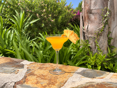 Tropical Vodka Cooler : recette cocktail mangue & ananas